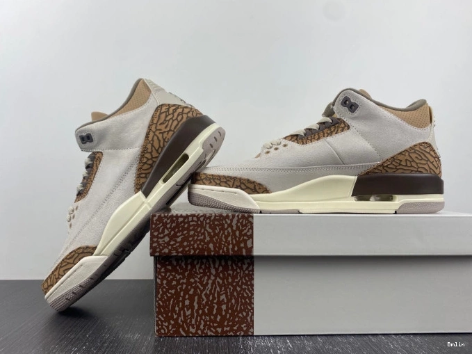 Bmlin Palomino 3 Air Jordan CT8532-102 0821